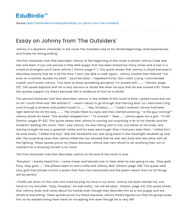 Essay on Johnny from ‘The Outsiders’