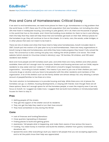 Pros and Cons of Homelessness: Critical Essay