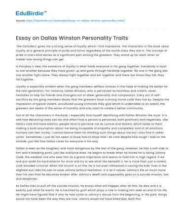 Essay on Dallas Winston Personality Traits