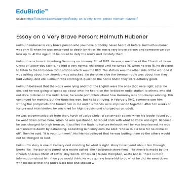 Essay on a Very Brave Person: Helmuth Hubener