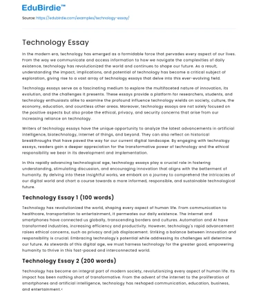 Technology Essay