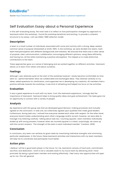 Self Evaluation Essay about a Personal Experience