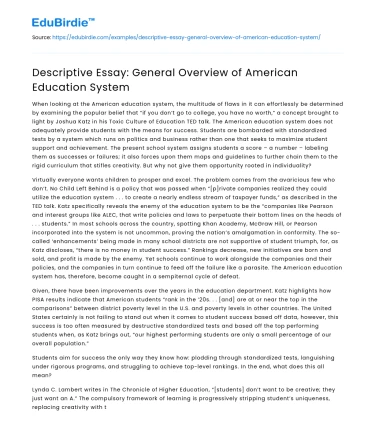Descriptive Essay: General Overview of American Education System