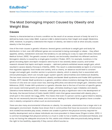 The Most Damaging Impact Caused by Obesity and Weight Bias