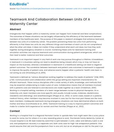Teamwork And Collaboration Between Units Of A Maternity Center