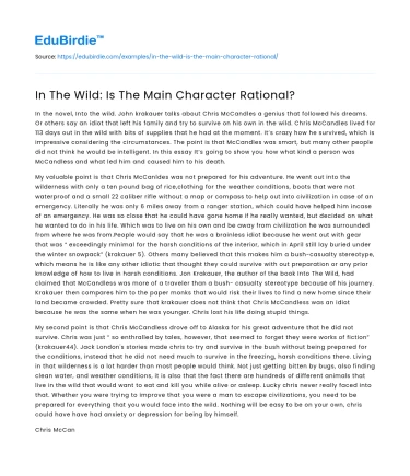 Rationality in ‘In The Wild’