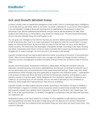 Grit and Growth Mindset Essay