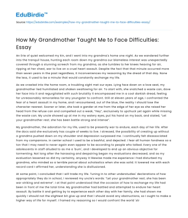 How My Grandmother Taught Me to Face Difficulties: Essay