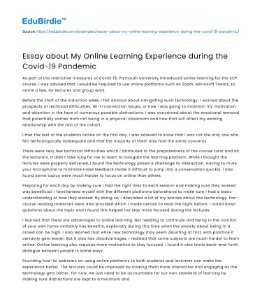 Essay about My Online Learning Experience during the Covid-19 Pandemic