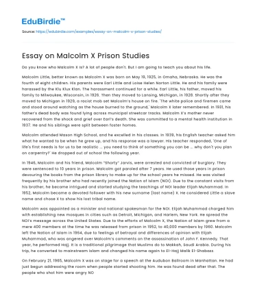 Essay on Malcolm X Prison Studies