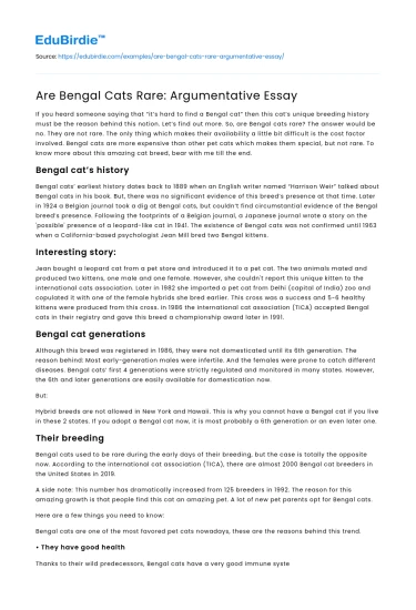 Are Bengal Cats Rare: Argumentative Essay