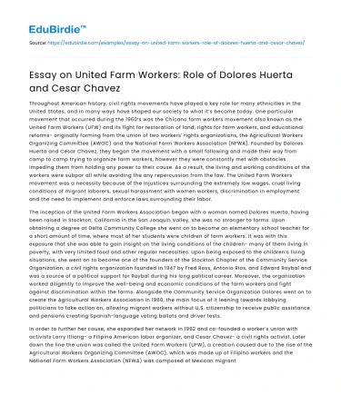 Essay on United Farm Workers: Role of Dolores Huerta and Cesar Chavez