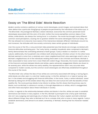 Essay on ‘The Blind Side’: Movie Reaction