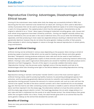 Reproductive Cloning: Advantages, Disadvantages And Ethical Issues
