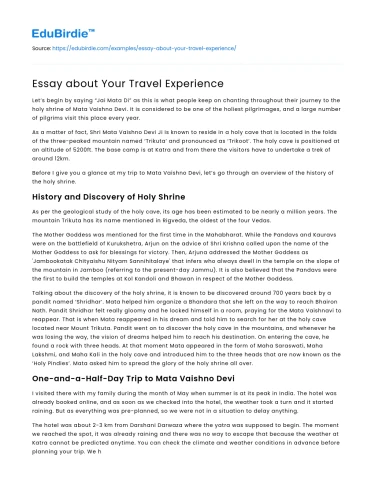 Essay about Your Travel Experience