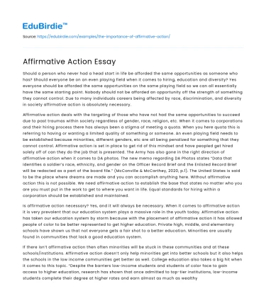 Affirmative Action Essay