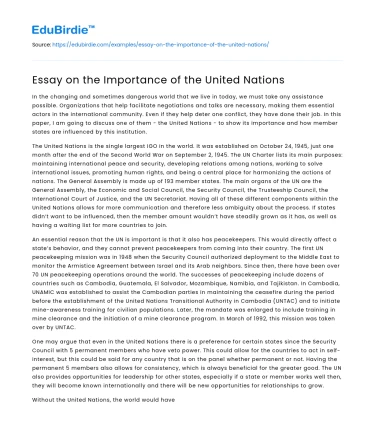 Essay on the Importance of the United Nations