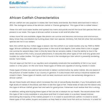 The Unique Traits of African Catfish