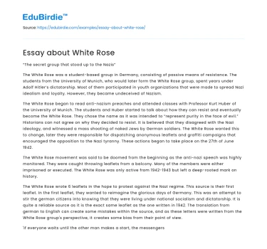 Essay about White Rose
