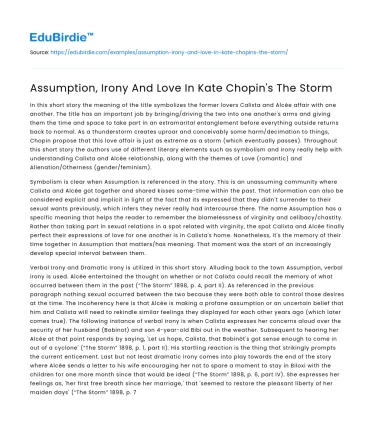 Assumption, Irony And Love In Kate Chopin’s The Storm