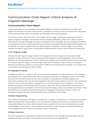 Communication Chain Report: Critical Analysis of Linguistic Message