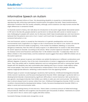 Informative Speech on Autism