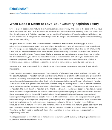 What Does It Mean to Love Your Country: Opinion Essay