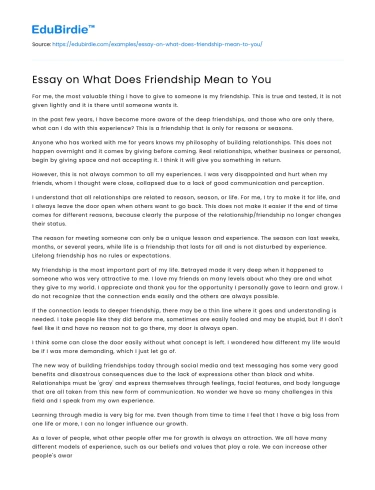 Essay on What Does Friendship Mean to You