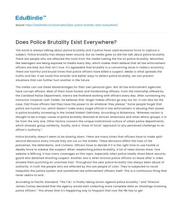 Does Police Brutality Exist Everywhere?
