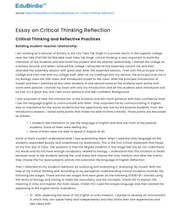 The Essence of Critical Thinking