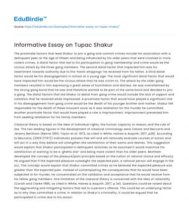 Informative Essay on Tupac Shakur