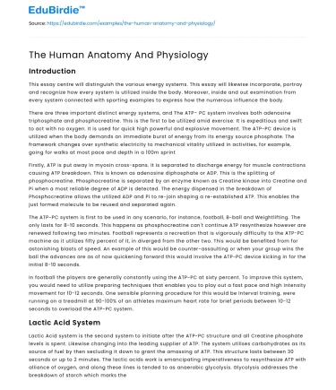 The Human Anatomy And Physiology