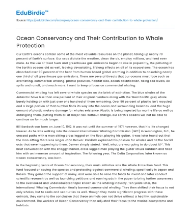 Ocean Conservancy and Their Contribution to Whale Protection