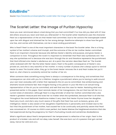 The Scarlet Letter: the Image of Puritan Hypocrisy