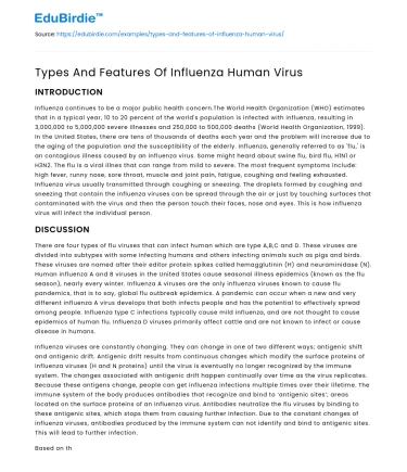 Types And Features Of Influenza Human Virus