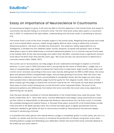 Essay on Importance of Neuroscience in Courtrooms