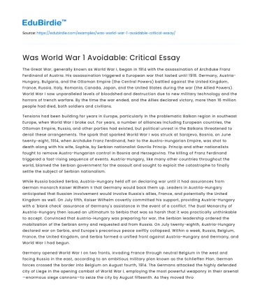 Was World War 1 Avoidable: Critical Essay
