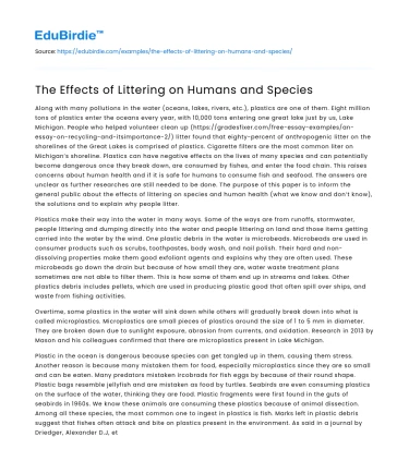 The Effects of Littering on Humans and Species