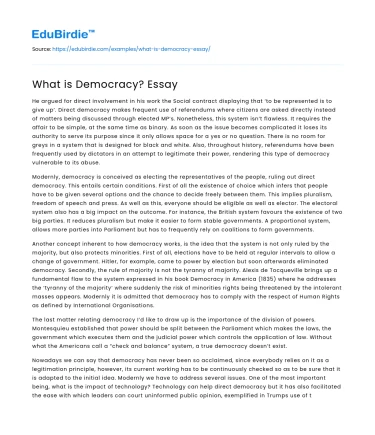 What is Democracy? Essay