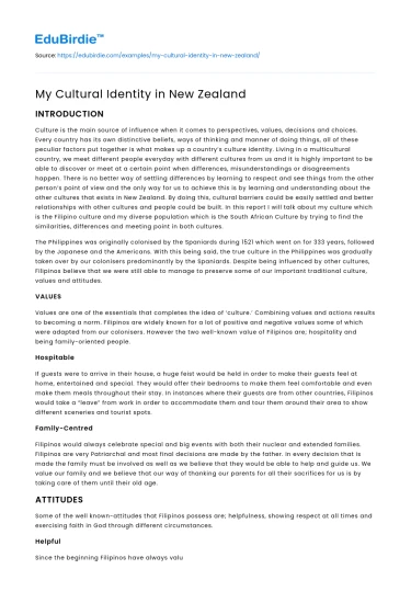 My Cultural Identity in New Zealand