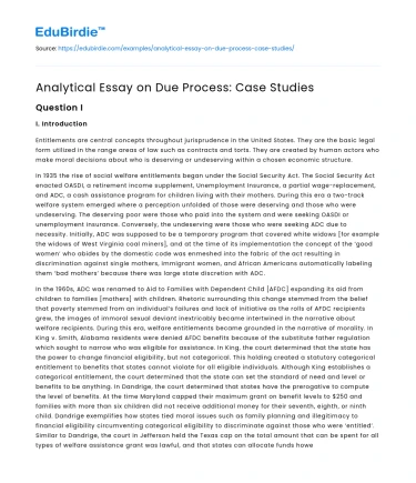 Analytical Essay on Due Process: Case Studies