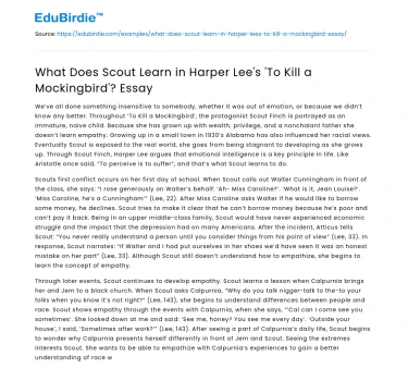 What Does Scout Learn in Harper Lee’s ‘To Kill a Mockingbird’? Essay