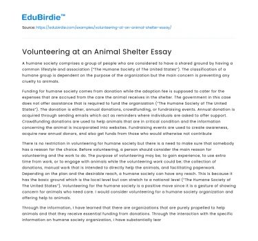 Volunteering at an Animal Shelter Essay