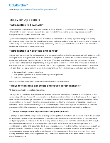 Essay on Apoptosis