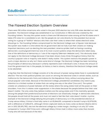 The Flawed Election System Overview