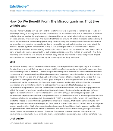 How Do We Benefit From The Microorganisms That Live Within Us?