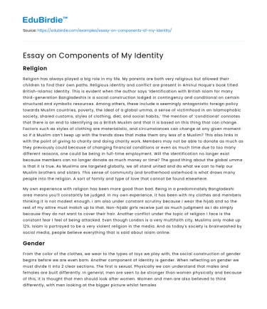 Essay on Components of My Identity