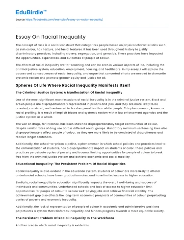 Essay On Racial Inequality