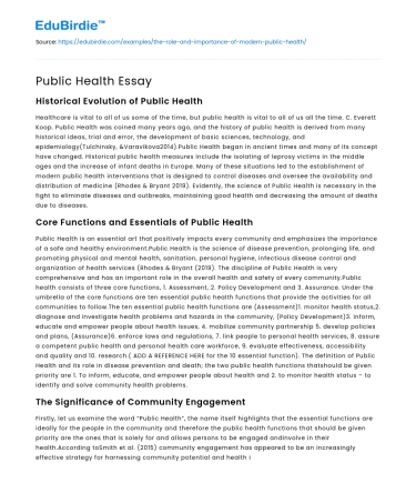 Public Health Essay