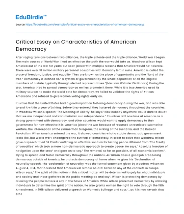 Critical Essay on Characteristics of American Democracy
